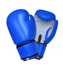 Super Bag Boxing Gloves